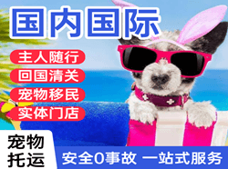 右旗巴丹吉林航空快递国际宠物托运 【国